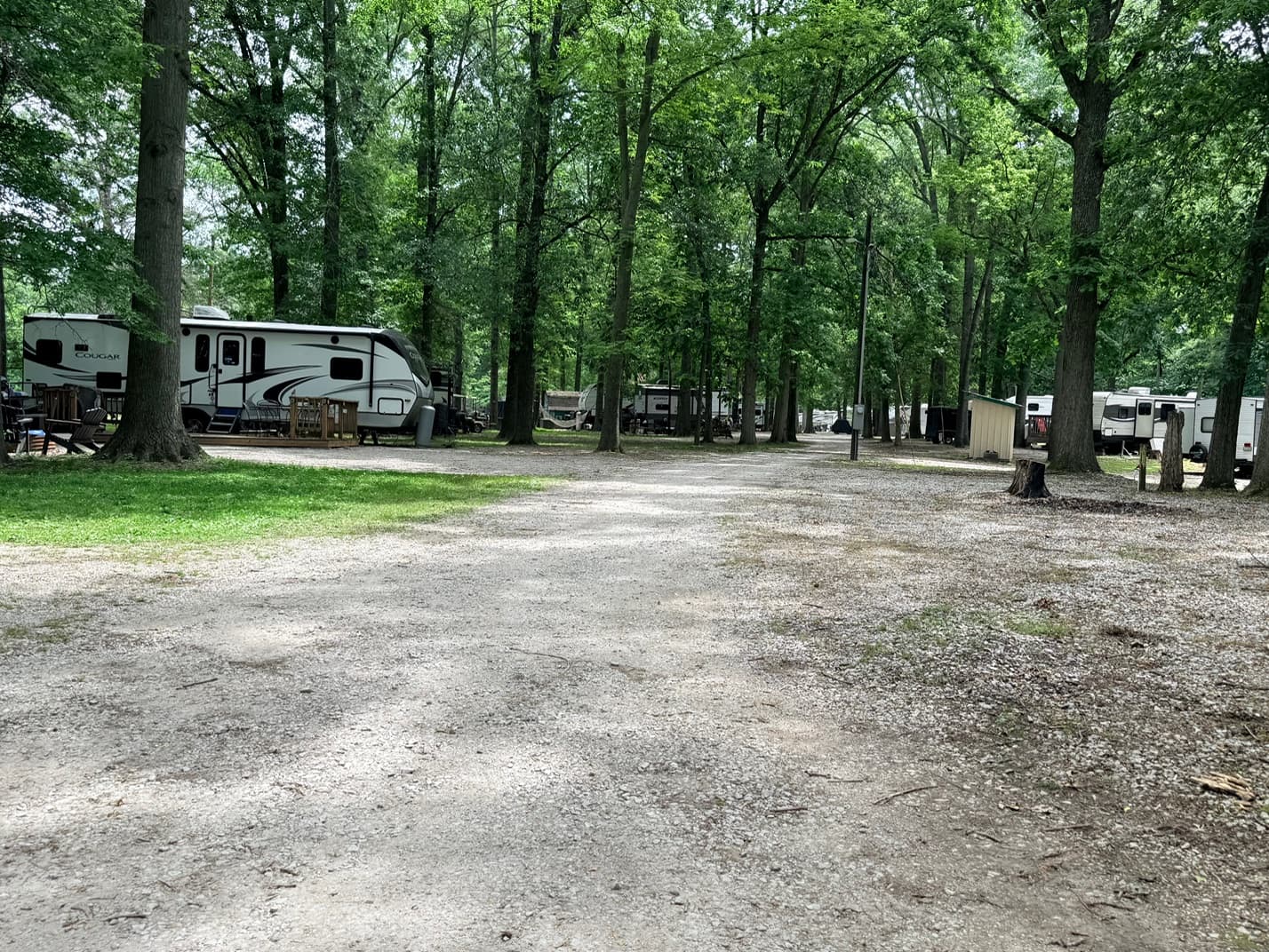 Shaded campground road at Bur Oaks