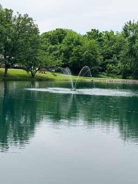Bur Oaks fountain on the lake